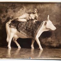 Veronika on Cow