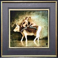 Cowparade, Nicol & Silva w