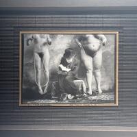 Čtenár Dostojevského silver